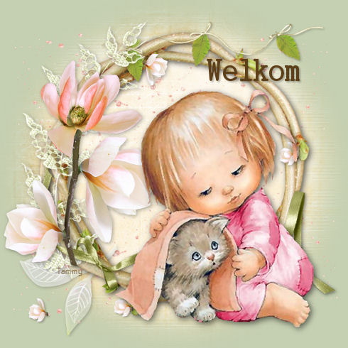 RM-kitten-gil-welkom.jpg